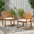 Acacia Wood Dining Chairs with Cushions, Set of 2