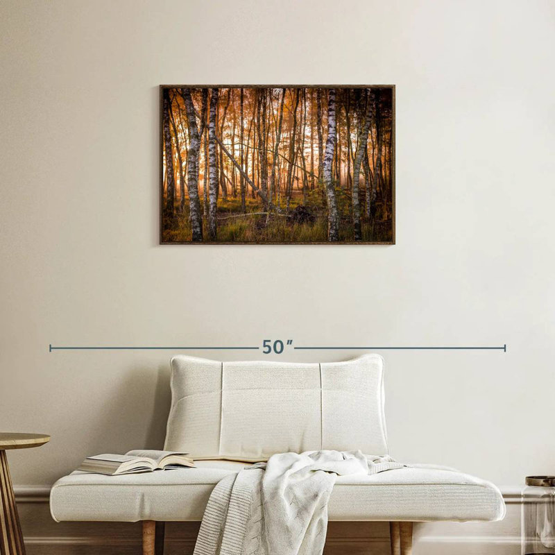 Forêt de bouleaux sombre, Cadre flottant noyer, 31 po x 21 po