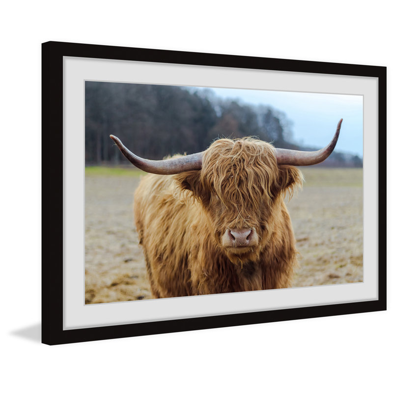 «Highland Roamer» par Marmont Hill, reproduction sur toile, L 30 po x H 20 po, Papier avec cadre noir fermé, Blanc