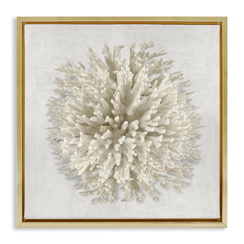 Cadre flottant naturel corail rond, design par Caroline Kelly, H 25 po x l 25 po, Cadre flottant métallique doré