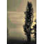 Daybreak on a Country Road 1 Piece Wrapped Canvas Wall Art-1509532241