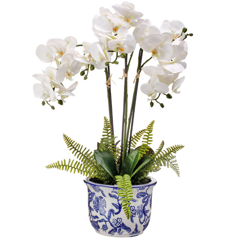 Arrangement d'orchidées en pot chinois