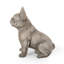 Statue de jardin bouledogue français Ohara-1091907836