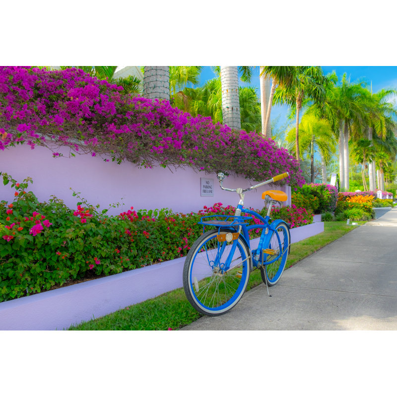 Cruiser Bike by Eric Laudonien - Wrapped Canvas Print, 51cm H x 76cm W