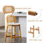 Aliysha Upholstered Counter Stool