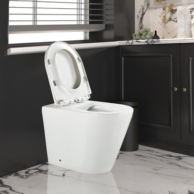 Round Rimless Back to Wall Denanne with Soft Close Seat | UK Standard P Trap