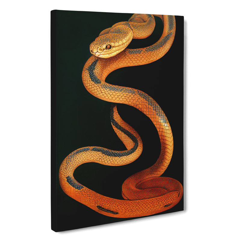 Amber Snake - Wrapped Canvas Print, 50cm H x 35cm W x 3cm D