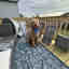 Photos des clients 3 de 3