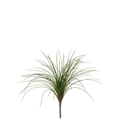 Jet d’herbe