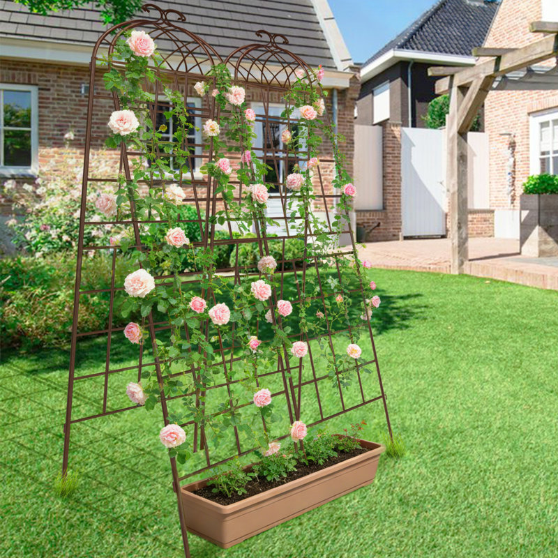 Treillis de jardin, matériau métallique durable pour supporter les plantes grimpantes, utilisation à l'extérieur, Brun