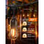 Guirlande de 36 lumières DEL d'extérieur, ampoules incassables Edison