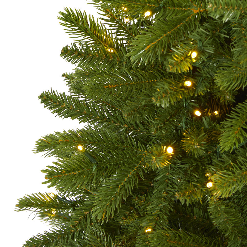 Lighted Artificial Spruce Christmas Tree, 5' H