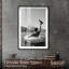 Décoration murale Glam Floating Shadowbox par Notoriart, cadre noir, 37 x 55-1423597543-1423597540