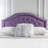 Full Sized Headboard In Purple - Upholstered With Glamorous Button Tufting And Charming Nailhead Accents Cool-919935631-919935619