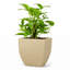 Jardinière écologique d'intérieur / extérieur Vinesha ECOBO-1197920228-1203563268-1203563269