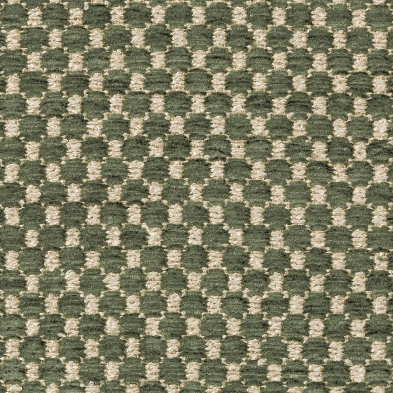 Chambery Textures II Ecrins Performance Fabric, Avocado