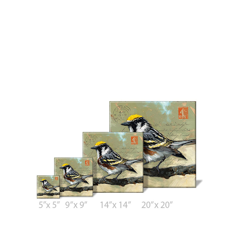 «Messenger Warbler», art mural numérique, H 20 po x l 20 po x P 1 po