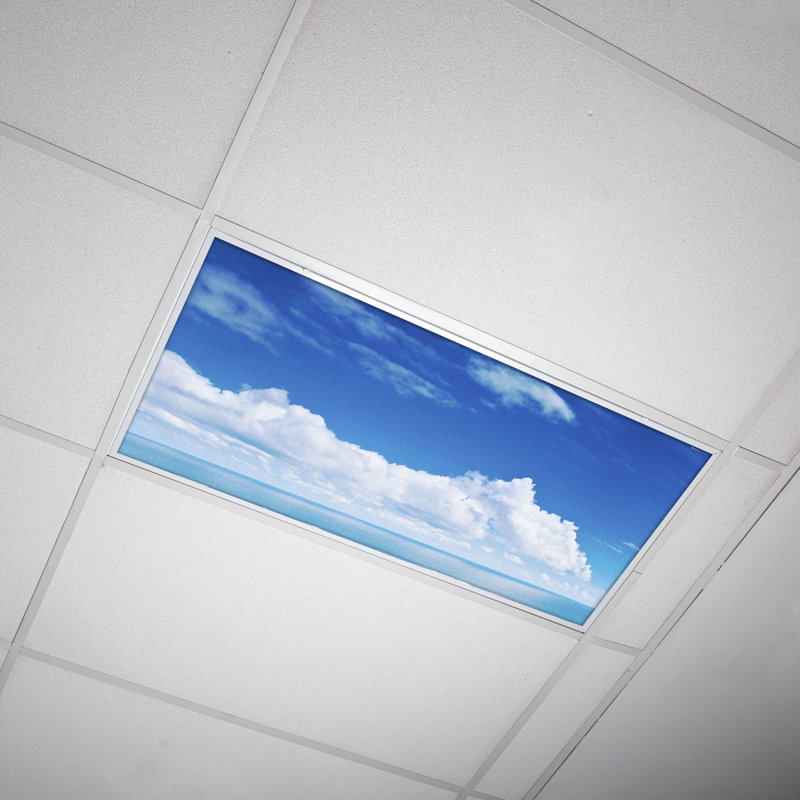 Octo Lights - Fluorescent Light Covers - Flexible Ceiling Light Diffuser Panels - Decorative Clouds - For Classrooms And Offices - 017