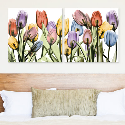 " Tulip Scape X-ray I And II " by Albert Koetsier 2 - Pieces