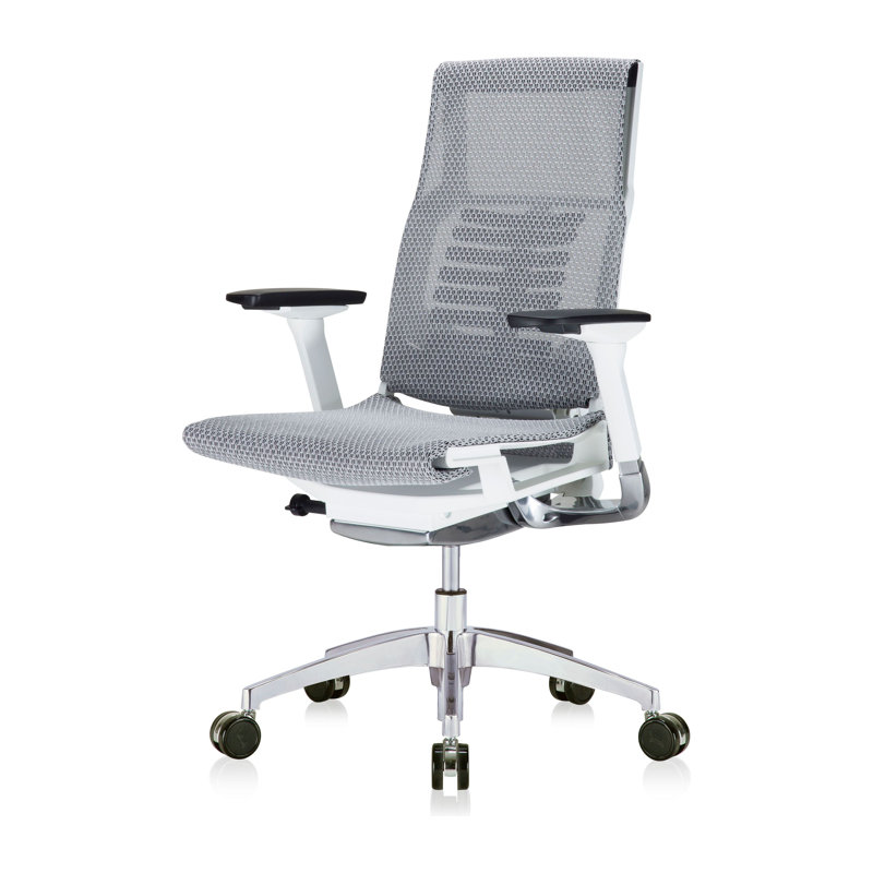 Mesh Executive Chair with Headrest, White, Gray