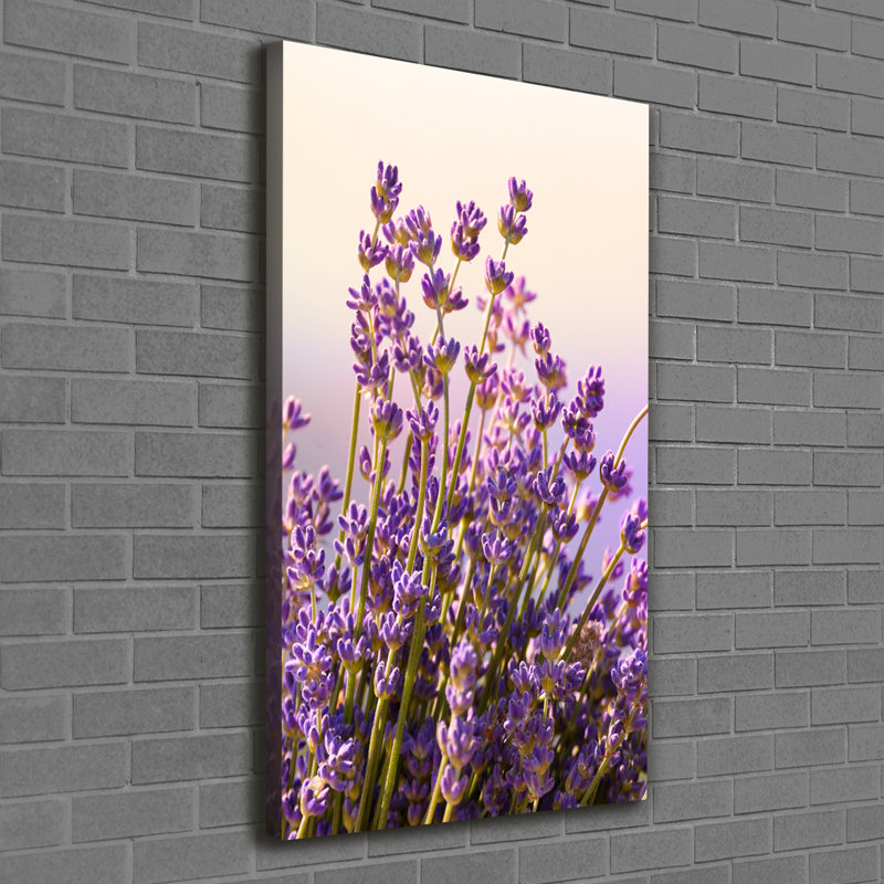 Lavender - Wrapped Canvas Print
