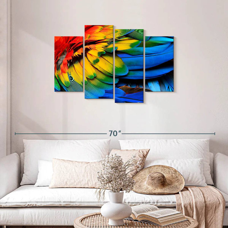 Macaw Bird Feathers