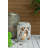 Hange 12.6'' H Tabletop Lantern