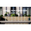 Bistro Dining Chair-1259458233