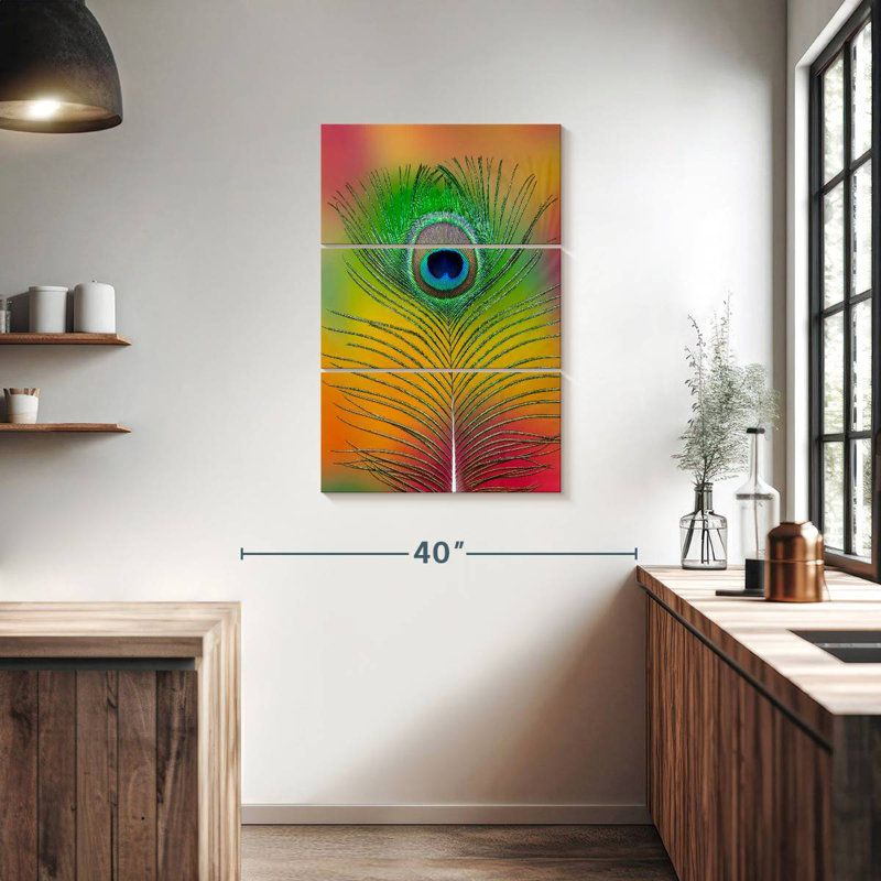 Plume de queue de paon mâle Kerner, H 38 po x l 24 po