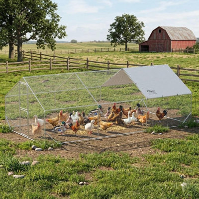 Chicken Run