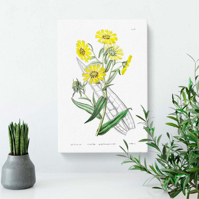 Yellow Daisies - Wrapped Canvas Painting, 50cm H x 35cm W x 3cm D