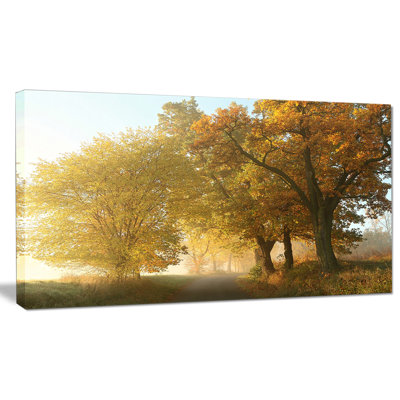 " Rural Road Under Green Trees "