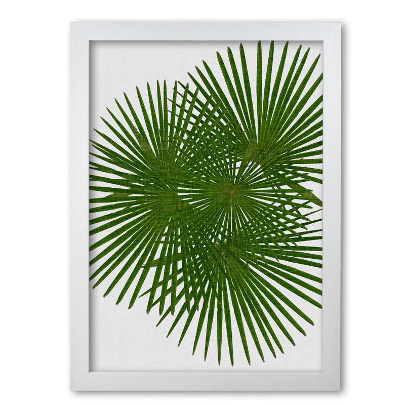 Fan Palm - Print, 85 cm H x 60 cm W x 5 cm D, White Grain Frame