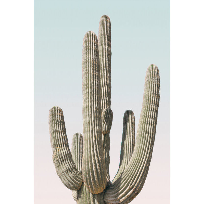 Wrapped Canvas Print, 121.92 cm H x 81.28 cm W