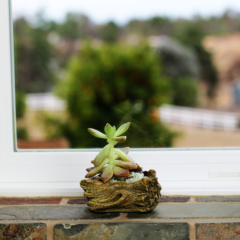 Kellems Ceramic Statue Planter