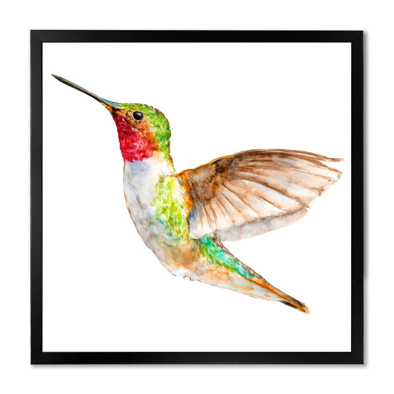 Croquis de colibri - art mural traditionnel sur toile, Toile avec cadre noir, H 16 po x l 16 po x P 1 po