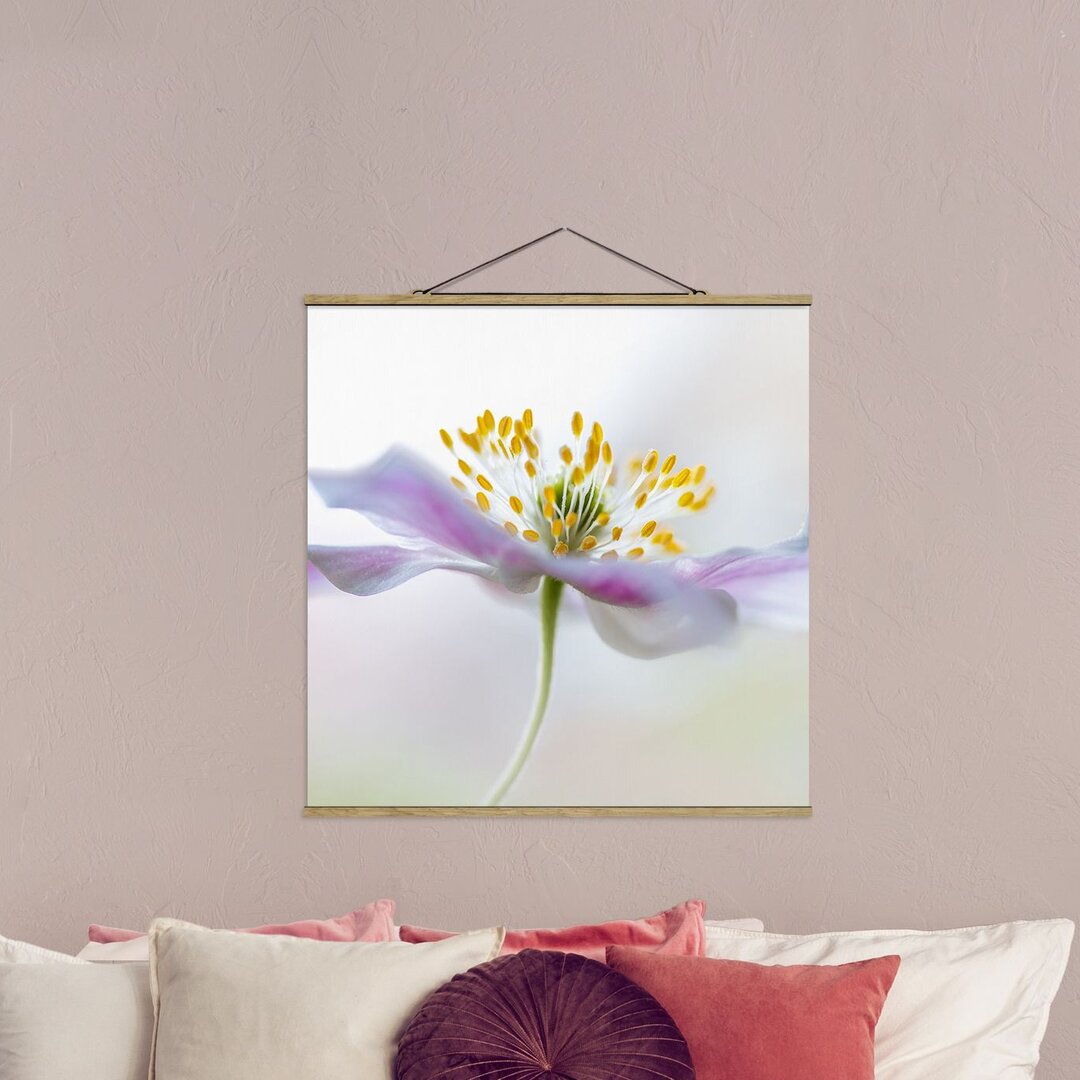 Wandbild Anemone In White