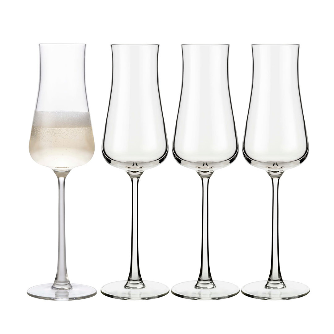 Signature-Stratford Libbey Champagne Flute Glass, 8-Ounce, Set Of 4 (Set of 4) Libbey