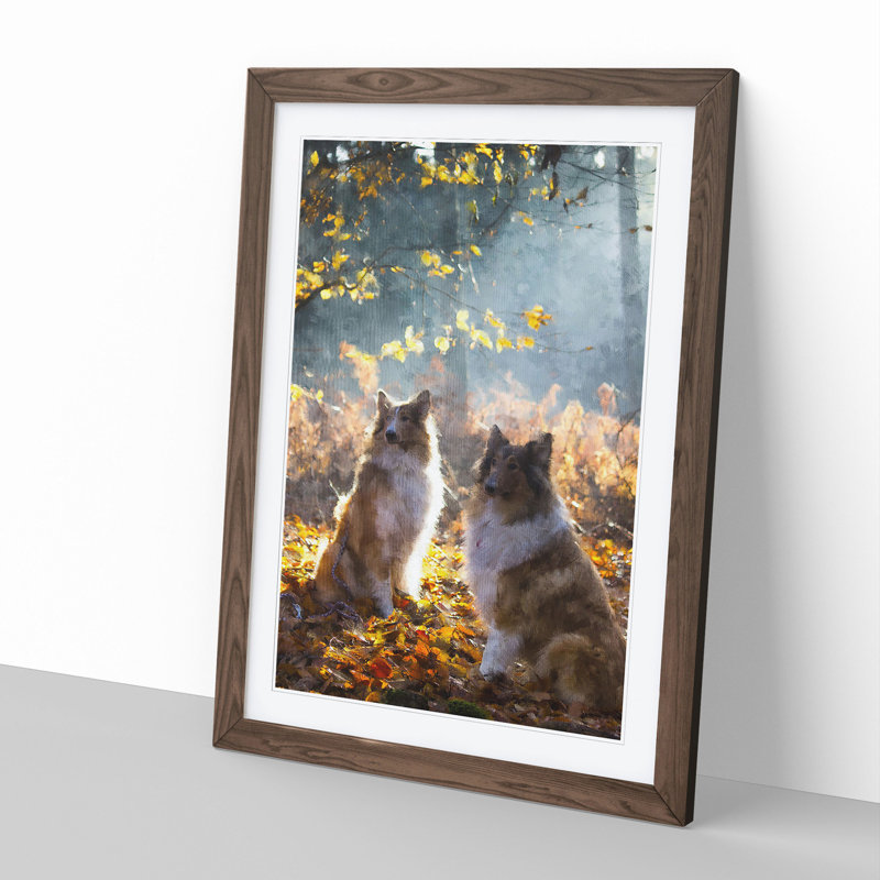 Two Rough Collie Dogs - Framed Print, Walnut Framed, 48cm H x 36cm W x 2cm D