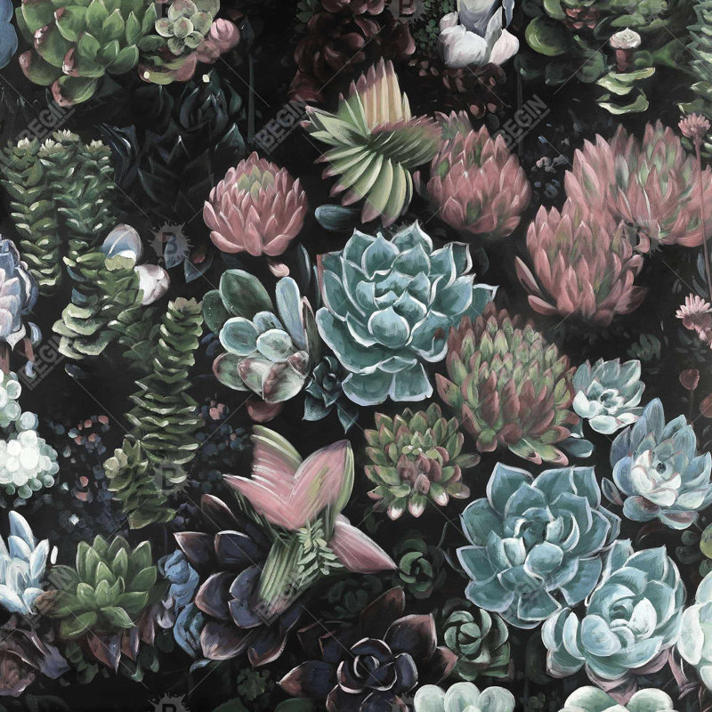 Succulent set - 32"x32" art on canvas