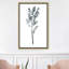 « herb » par albina bratcheva print-43718720-43718725