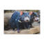 «Tasmanian Devil Couple», art mural animalier-640115460