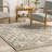 Roslin Moroccan High-Low Tasseled Area Rug-1654648771