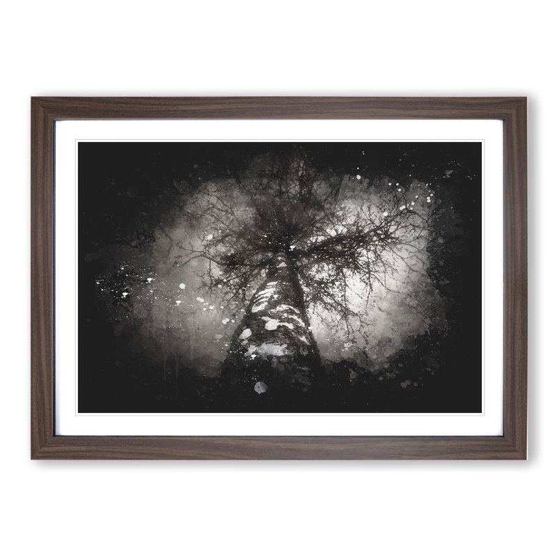 Birch Tree - Picture Frame Graphic Art, 27cm H x 36cm W x 2cm D, Walnut