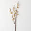 Patel Cherry Blossom Spray