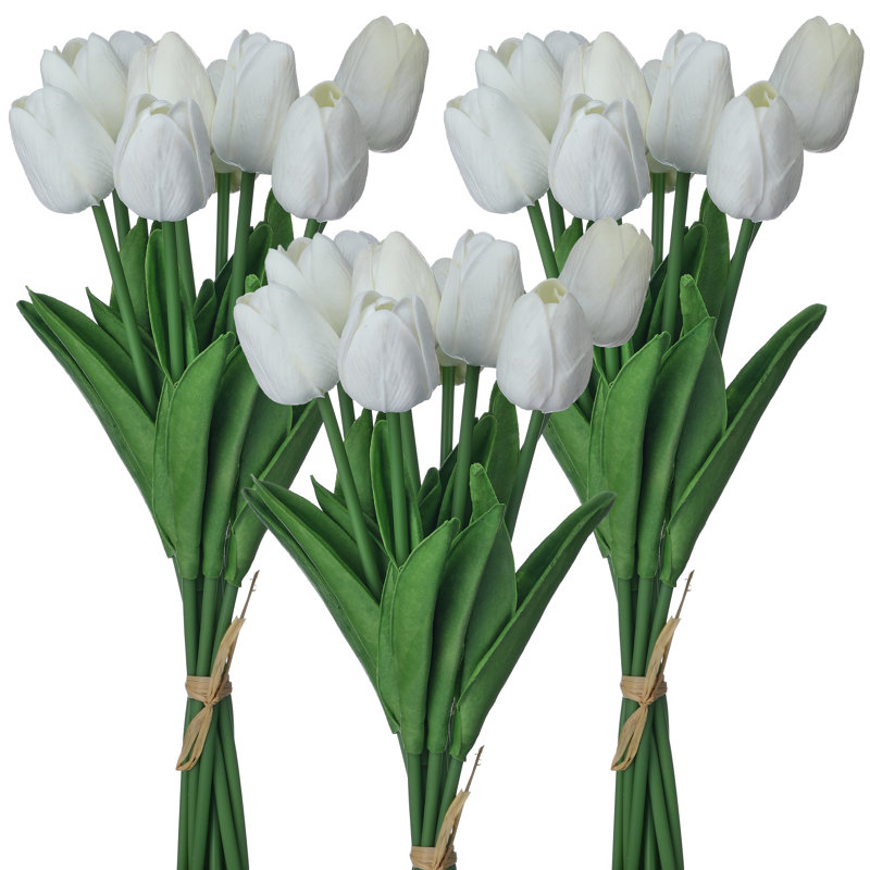 Ensemble de tulipes 13 po Eva, Blanc