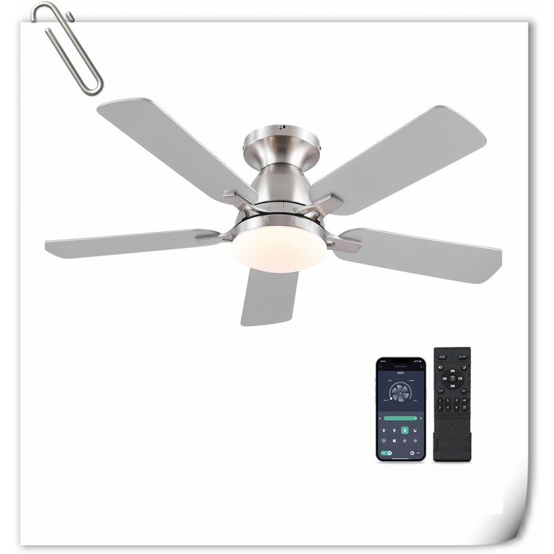 Museau Ceiling Fan with LED Lights, Silver