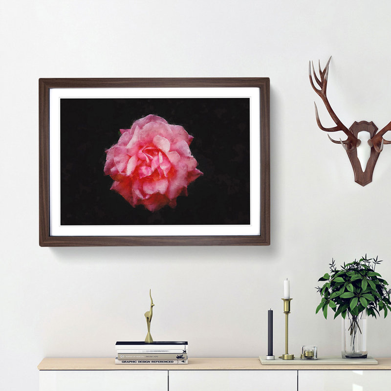 Lone Pink Carnation - Picture Frame Graphic Art Print, Walnut Framed, 62cm H x 87cm W x 2cm D