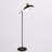 Asna 65 " Powder Coated Task Floor Lamp