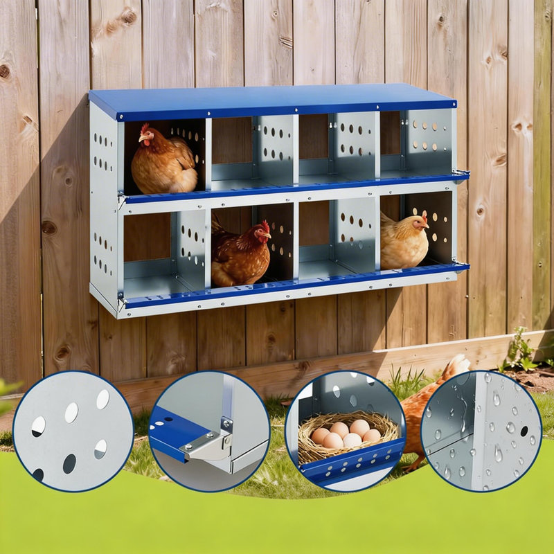 Boîtes de nidification pour volaille en métal 50 po x 16 po x 19 po - Équipement de poulailler mural avec grands trous ventilés pour une collecte facile des œufs, sans couvercle, bleu (extérieur)